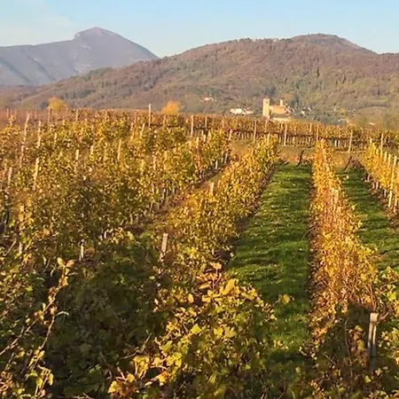 Acero Rosso In Franciacorta B&B