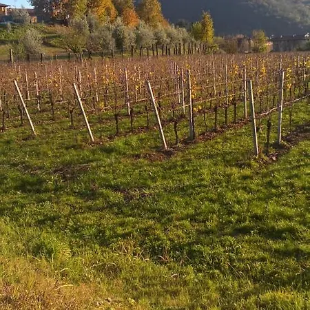 Acero Rosso In Franciacorta Bed and Breakfast Erbusco
