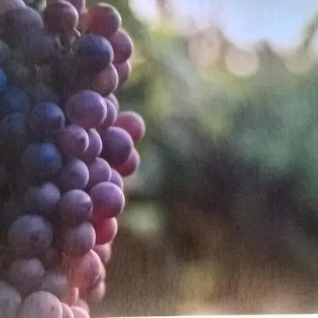 Acero Rosso In Franciacorta *
