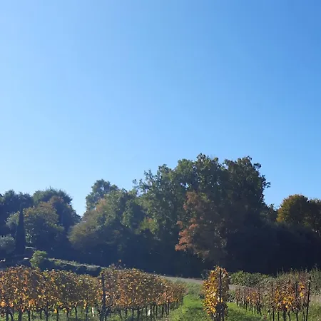 Acero Rosso In Franciacorta Bed and Breakfast